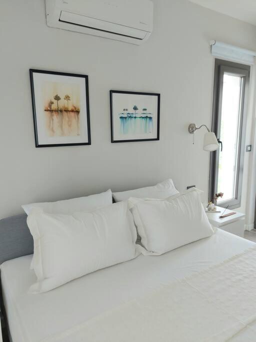 Luxurious Apartment In 博德鲁姆 外观 照片