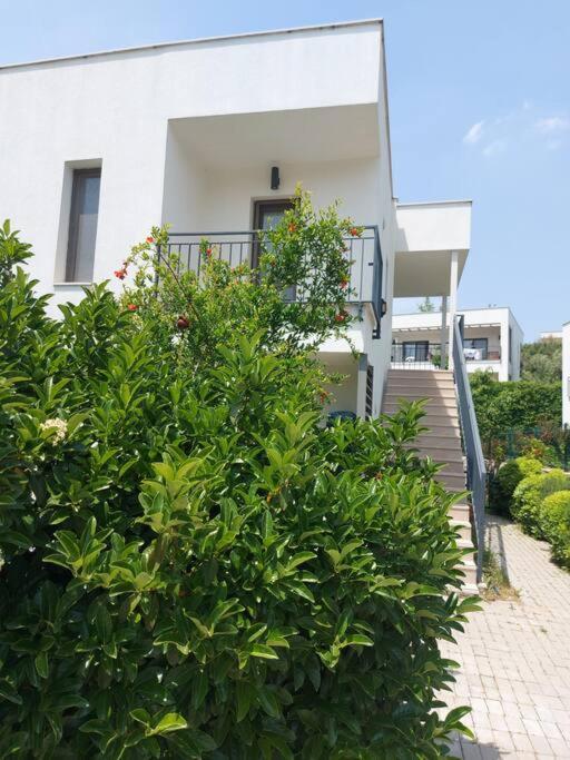 Luxurious Apartment In 博德鲁姆 外观 照片